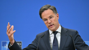 Rutte: Handelsstreit sollte nicht Diskussionen um Sicherheit beeinträchtigen