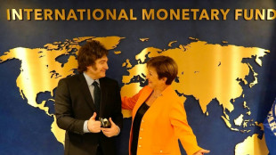 El FMI aprueba el desembolso de unos 2.000 millones de dólares a Argentina