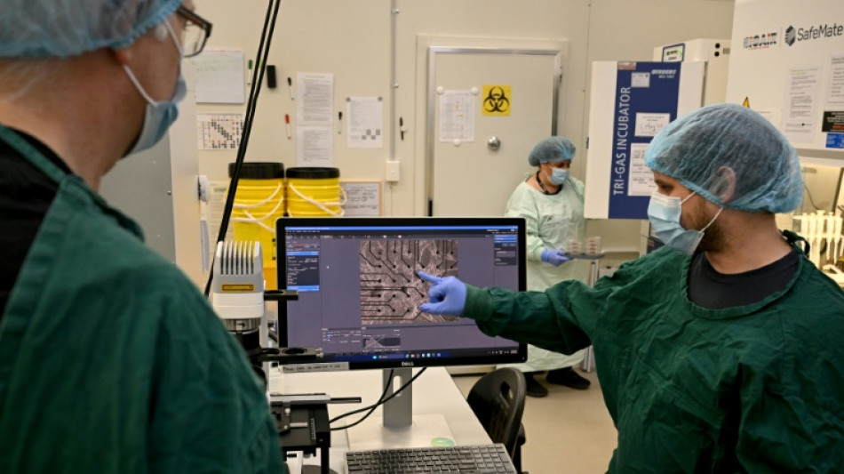 Un chip con neuronas humanas aprende a jugar a 'Doom'