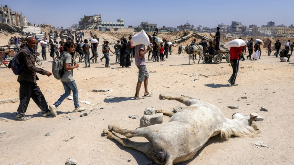 El enviado de Trump irá el viernes a Gaza para inspeccionar la distribución de la ayuda