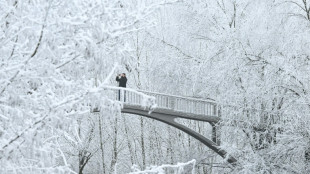 Snow, ice snarls post-holiday travel in Europe