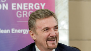 Enel, accordo per acquisto impianti eolici e solari in Usa da 1 miliardo dollari