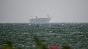 EEUU dice que espera un acuerdo sobre Ormuz "muy pronto" y el petr&oacute;leo cae