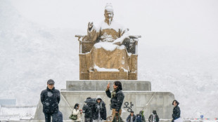 Chutes de neige records à Séoul pour le mois de novembre (agence météo)