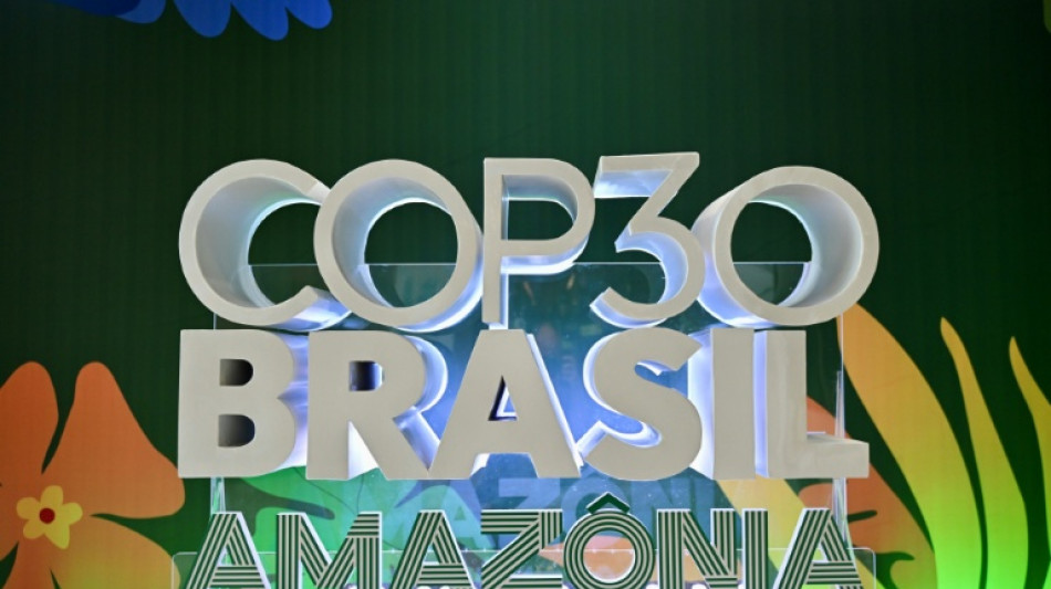 Anfitri&oacute;n de la COP30, Brasil exhibe buenas notas en materia clim&aacute;tica