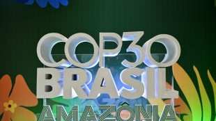 Anfitri&oacute;n de la COP30, Brasil exhibe buenas notas en materia clim&aacute;tica