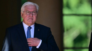 Steinmeier startet bundesweite Aktion für das Ehrenamt