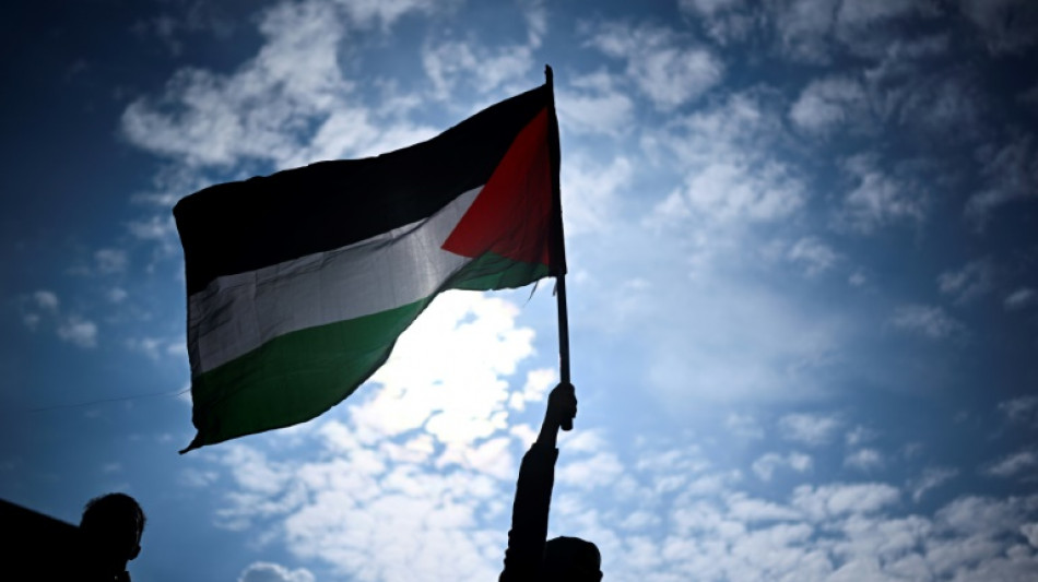 Mobilisations propalestiniennes: 85 des 86 gardes &agrave; vue parisiennes lev&eacute;es