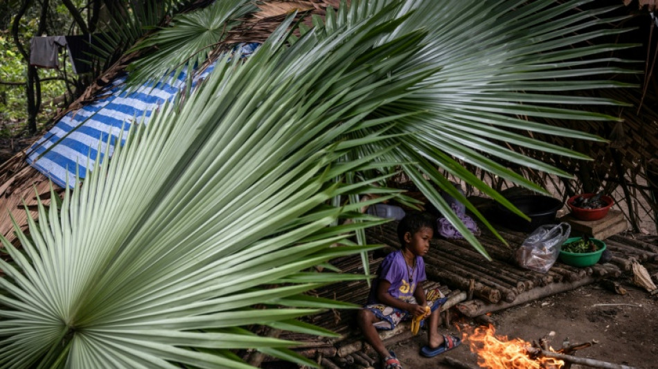 Les derniers chasseurs-cueilleurs de Thaïlande revendiquent leur droit aux terres