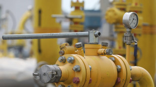 Il gas conclude in lieve rialzo a 31,2 euro al Megawattora