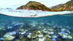 UN-Artenschutzkonferenz COP16 geht im Februar in zweite Runde
