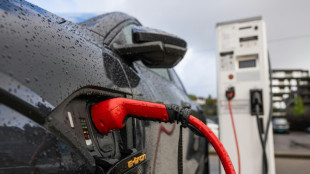 Electric vehicles supercharge EU car sales