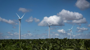 Reaktion auf Klimawandel: Anbaufläche von Soja stark gestiegen