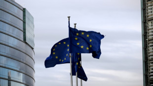 EU-Au&szlig;enminister beraten &uuml;ber Sicherheitsgarantien f&uuml;r die Ukraine