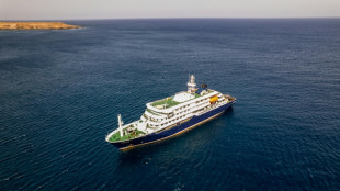 OMS considera 'baixo' o risco de propaga&ccedil;&atilde;o do hantav&iacute;rus ap&oacute;s surto em navio de cruzeiro