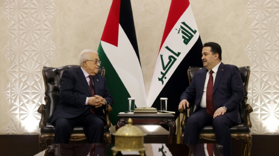 Arab countries gather in Baghdad to discuss regional crises