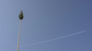Maibaum stürzt in Menschenmenge: Fünf Verletzte in Nordhein-Westfalen