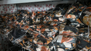 Zwei Euro pro Päckchen: Brüssel plant Gebühr auf Sendungen aus Nicht-EU-Ländern