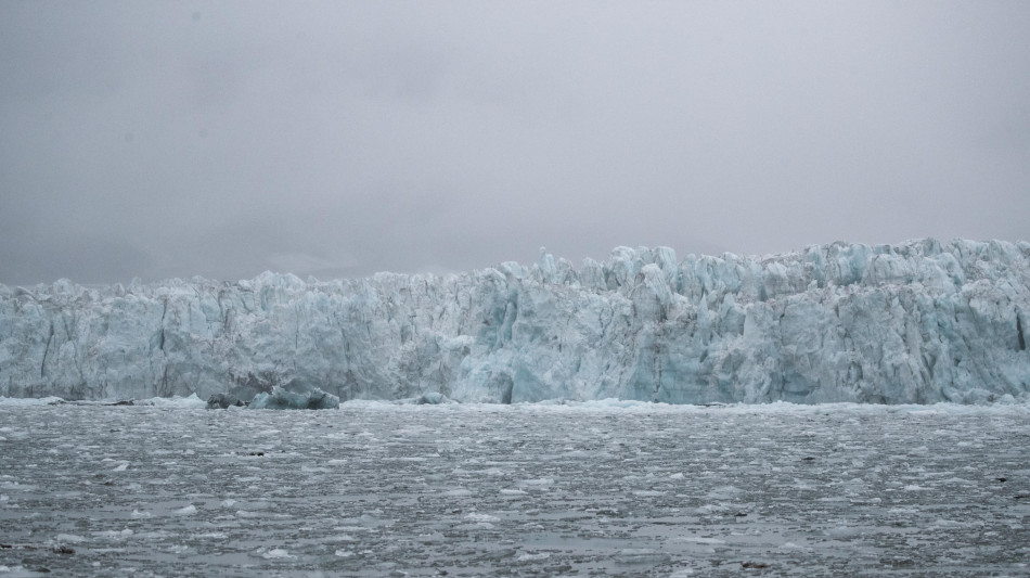 Antartide, la rottura di un iceberg rivela un ecosistema inedito