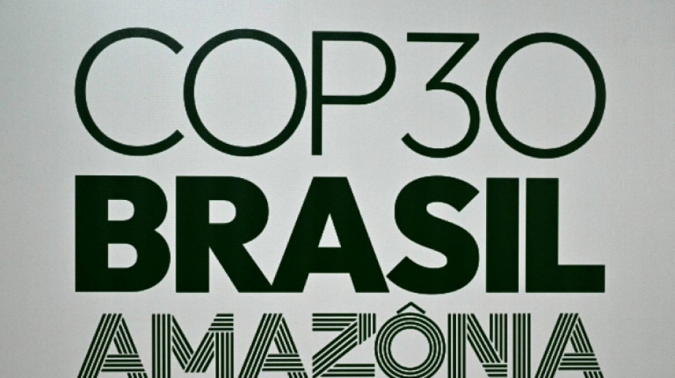 Wom&ouml;glich letzter Tag der UN-Klimakonferenz im brasilianischen Bel&eacute;m