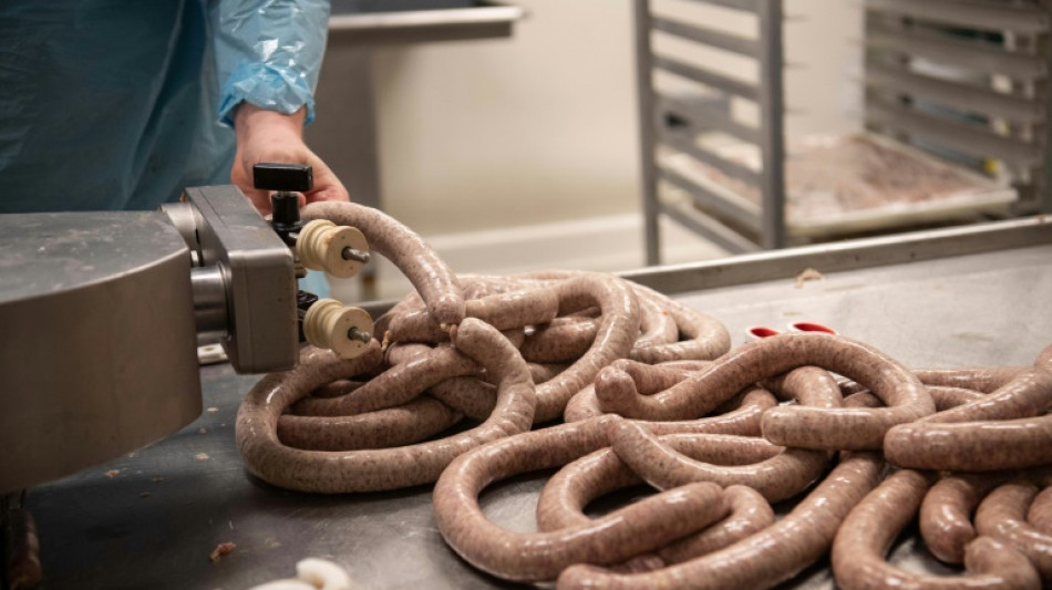 Studie: Verbot von Werkverträgen hat Bedingungen in der Fleischindustrie verbessert