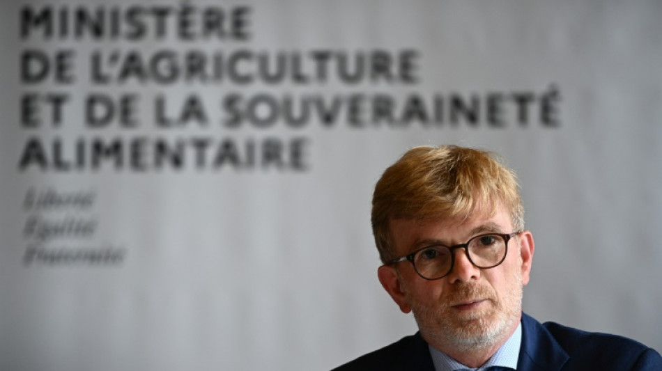 La s&eacute;cheresse amoindrit la production de ma&iuml;s grain en France