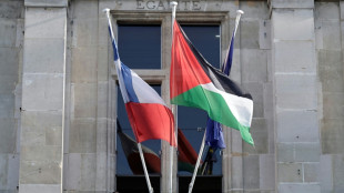 French town halls defy government warning to fly Palestinian flags