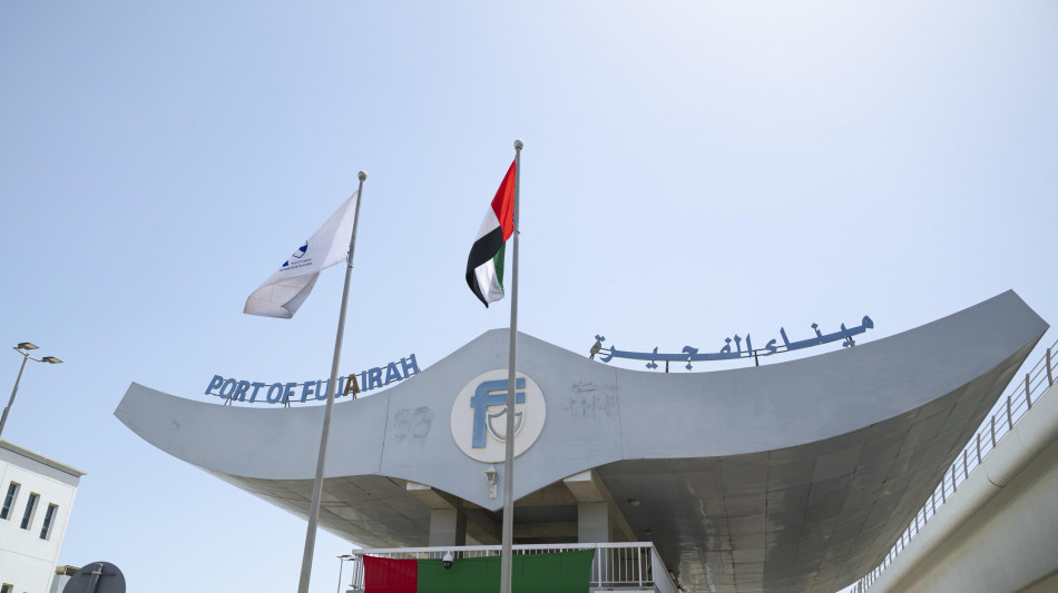 Gli Emirati Arabi escono dall'Opec e Opec+, nuova strategia