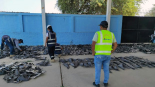 Incautan 1,2 toneladas de aletas de tiburón en Perú
