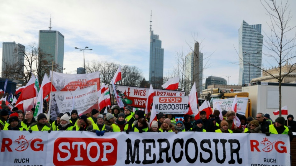 Polish farmers march against Mercosur trade deal 
