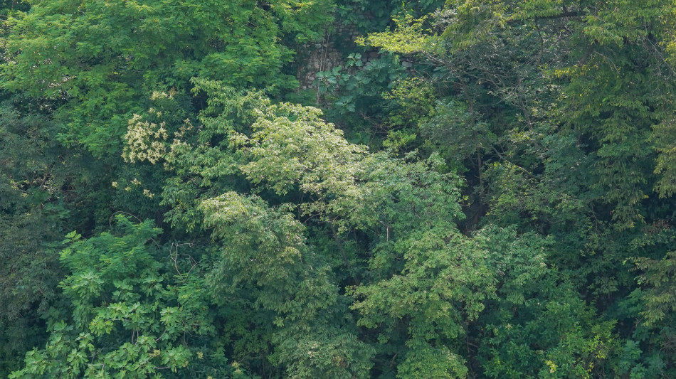 Morì dopo rito sciamanico, quattro indagati