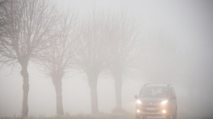 ADAC warnt f&uuml;r Wochenende vor Ausflugsverkehr in Richtung Alpen