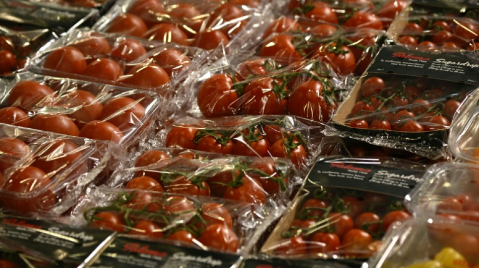 Tomaten sind Deutschlands meistverbrauchtes Gemüse 