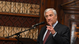 Tajani, 'tutti bene italiani su treno ucraino, grazie a Kiev'