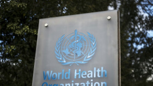 El aumento del uso de la IA en la atención de salud requiere salvaguardias jurídicas, afirma la OMS