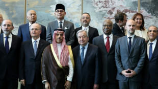 Fuerte apoyo en la ONU a la creación de dos estados, israelí y palestino