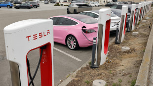 Tesla in calo a Wall Street con il partito di Musk, -7%