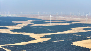 La actividad industrial de China sube levemente tras ocho meses de ca&iacute;da