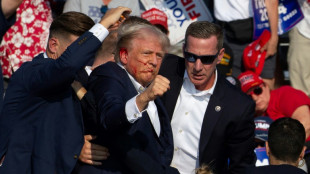 Senado dos EUA denuncia falhas 'indesculpáveis' no atentado contra Trump