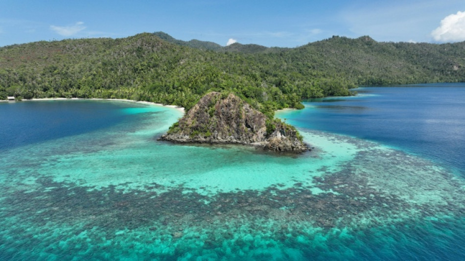 Umweltsch&uuml;tzer: Nickel-Abbau bedroht einzigartige Korallenriffe in Indonesien