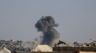 Muslim states join European powers in backing Trump Gaza plan