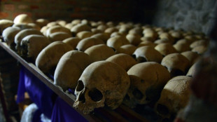 Attentat d&eacute;clencheur du g&eacute;nocide au Rwanda: dossier d&eacute;finitivement clos en France