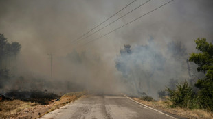 Dans une Gr&egrave;ce endeuill&eacute;e par les incendies, la maison du "miracle"
