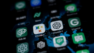 Dutch warning over 'annoying' chatbots