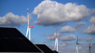 Umweltverbände fürchten Aufweichen von Klimaschutz durch Union und SPD