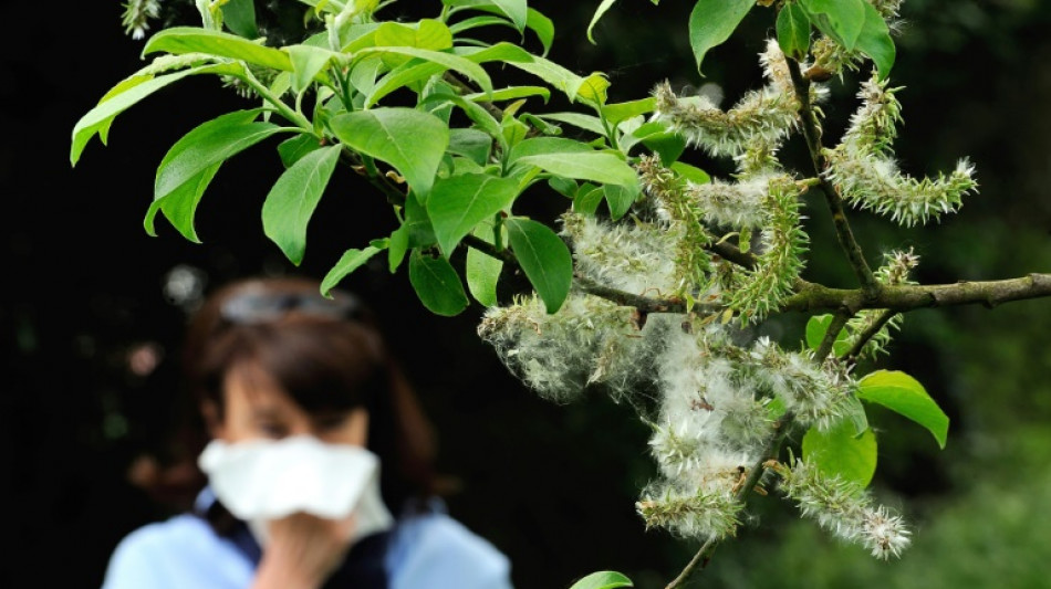 AOK-Umfrage: Mehr als jeder dritte Deutsche erhält Diagnose Allergie