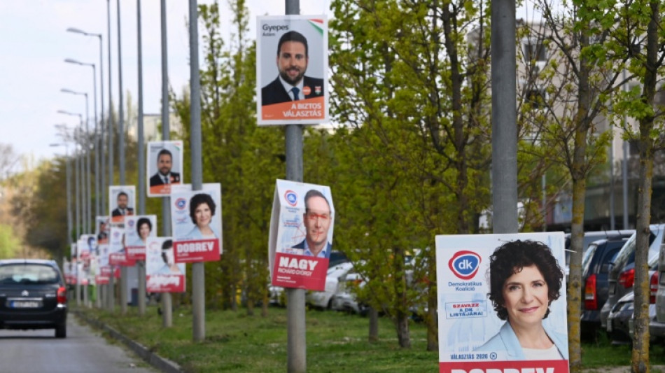 Ha&szlig;elmann hofft auf Regierungswechsel in Ungarn - und Neubeginn