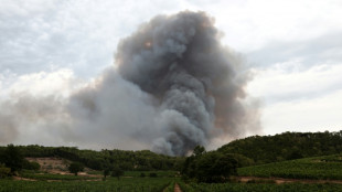 French winemakers dread 'smoky taste' after wildfires 