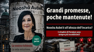 Noosha Aubel: &Egrave; all&rsquo;altezza dei problemi di Potsdam?